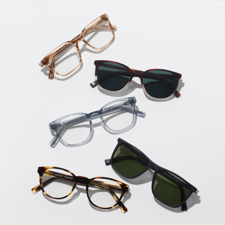 Assortment of eyeglasses and sunglasses in different frame shapes and colors