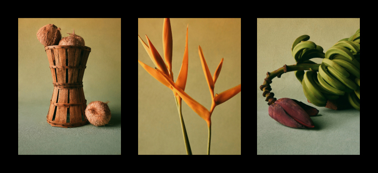 Text about a collection inspired by Edvin's childhood in Jamaica, featuring layered acetate frames. Below are images: coconuts, orange plant, speaker, and green bananas.