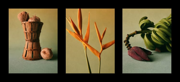 Text about a collection inspired by Edvin's childhood in Jamaica, featuring layered acetate frames. Below are images: coconuts, orange plant, speaker, and green bananas.