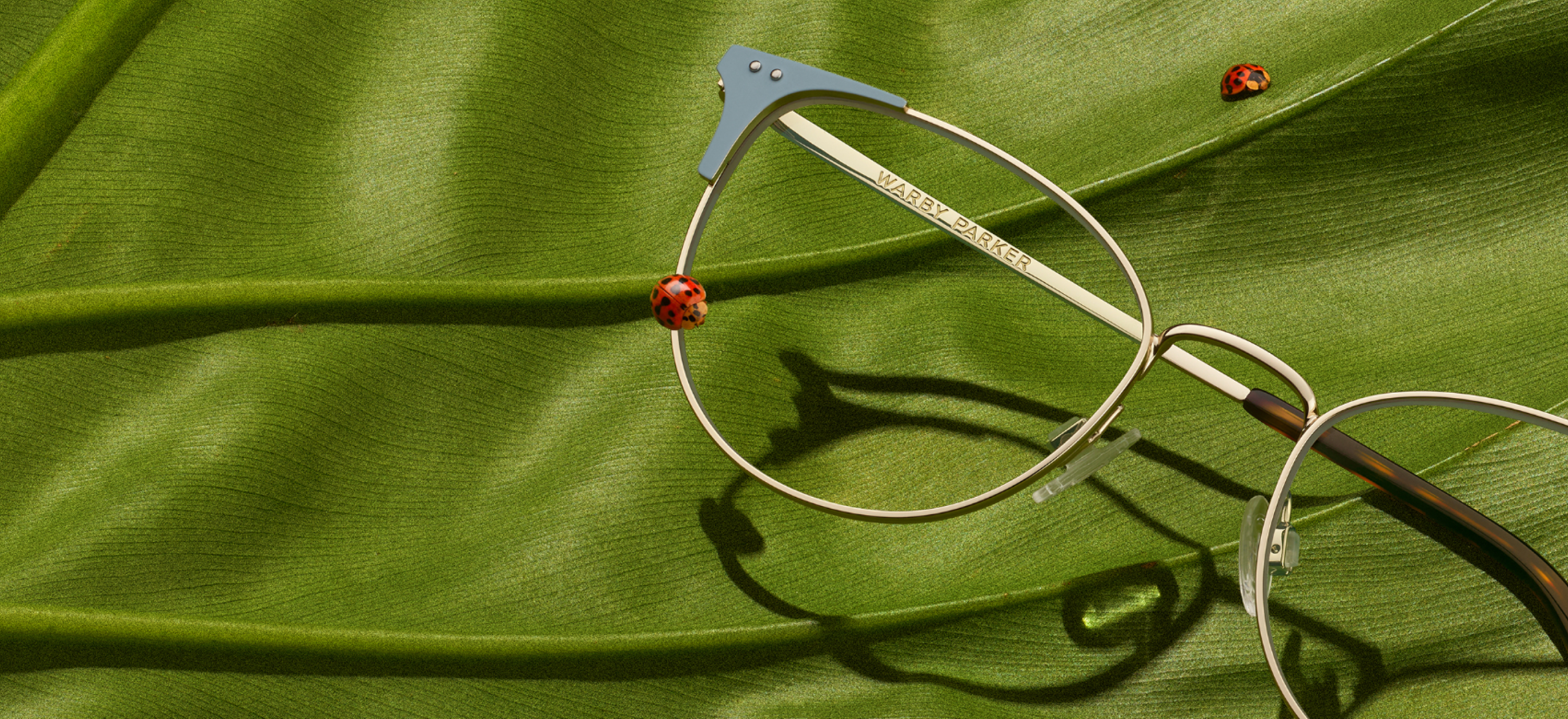 www.warbyparker.com
