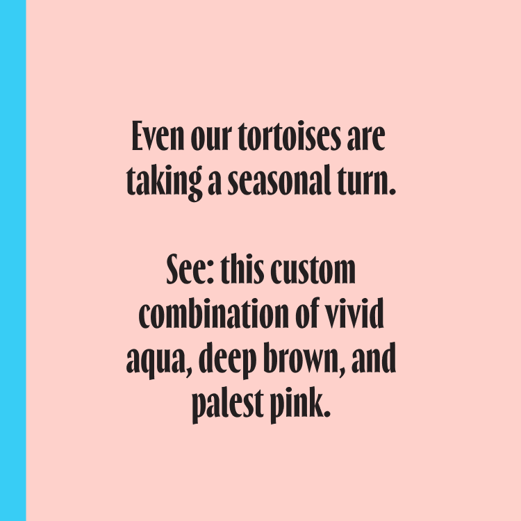 Even our tortoises are taking a seasonal turn. See: this custom combination of vivid aqua, deep brown, and palest pink.