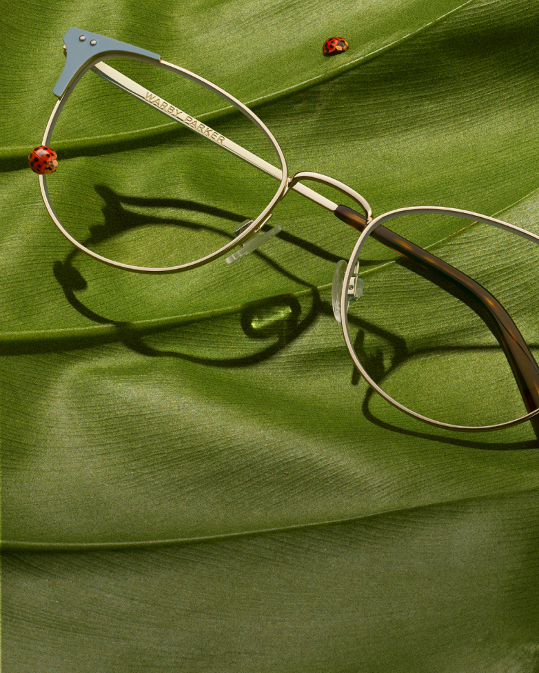 woman wearing oversized sunglasses with man wearing metal eyeglasses