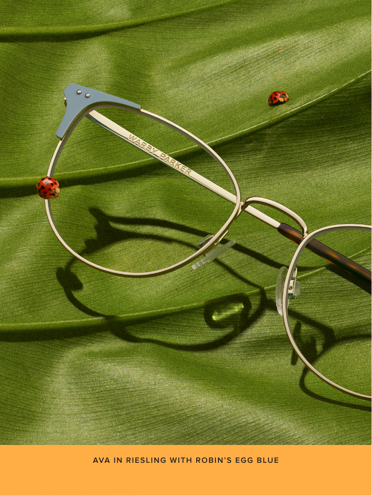 Close up on eyeglasses frames on top of a green cloth.