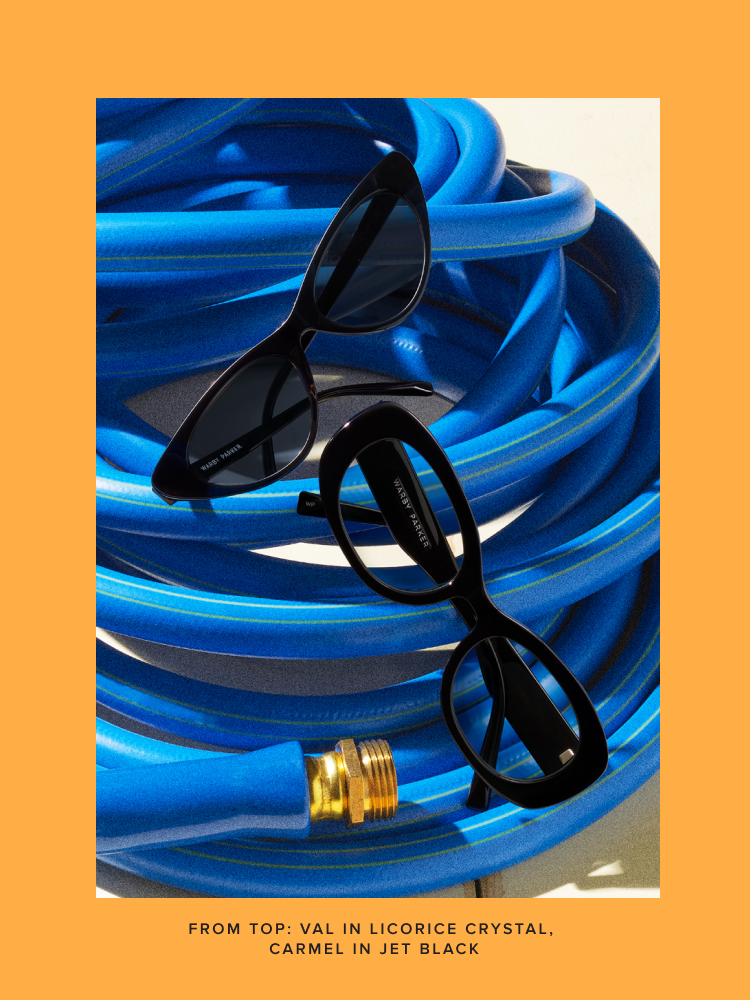Sunglasses and Eyeglasses on top of a blue hose.