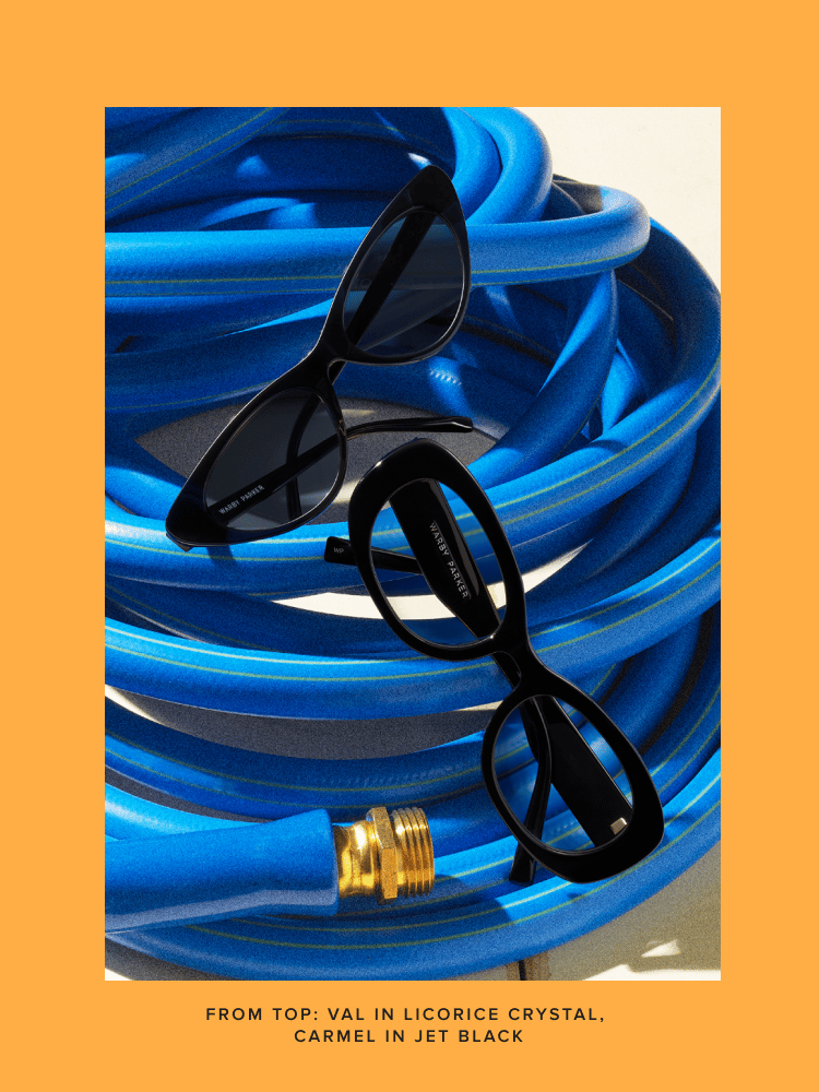 Sunglasses and Eyeglasses on top of a blue hose.