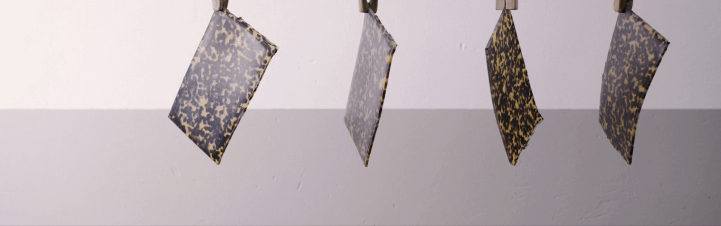 Five rectangle sheets of acetate made black and yellow colors being hung on clips in front of a white and grey striped wall. 
