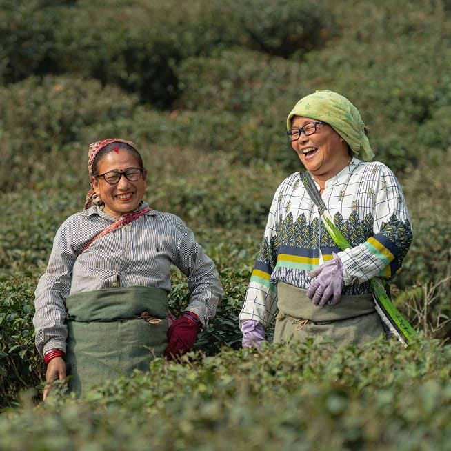 Three people in a tea garden, smiling and wearing aprons and glasses; a driver smiling in a vehicle.