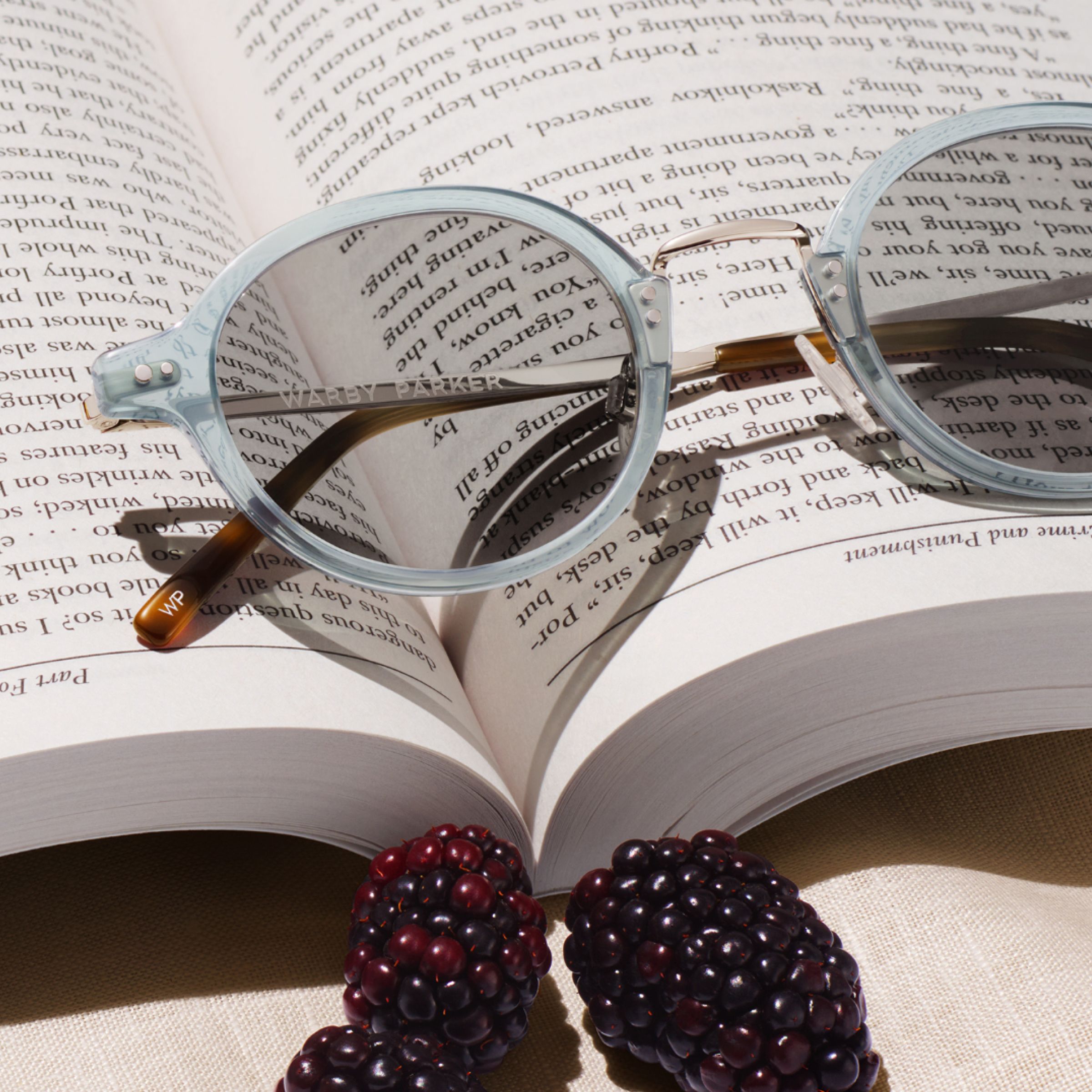 Sunglasses on an open book, with blackberries adding a fresh, summery touch.