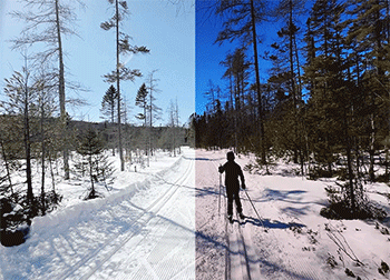 A split image shows a snowy path with trees and then a person cross-country skiing on the same path.